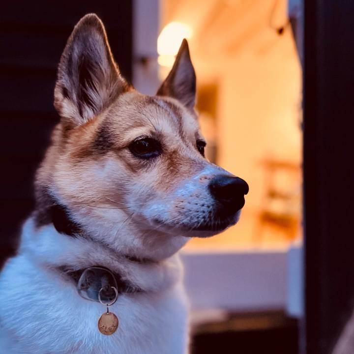 Be0739d0 eb80 4b00 b7c1 9c6c14ff1766 1760351162129