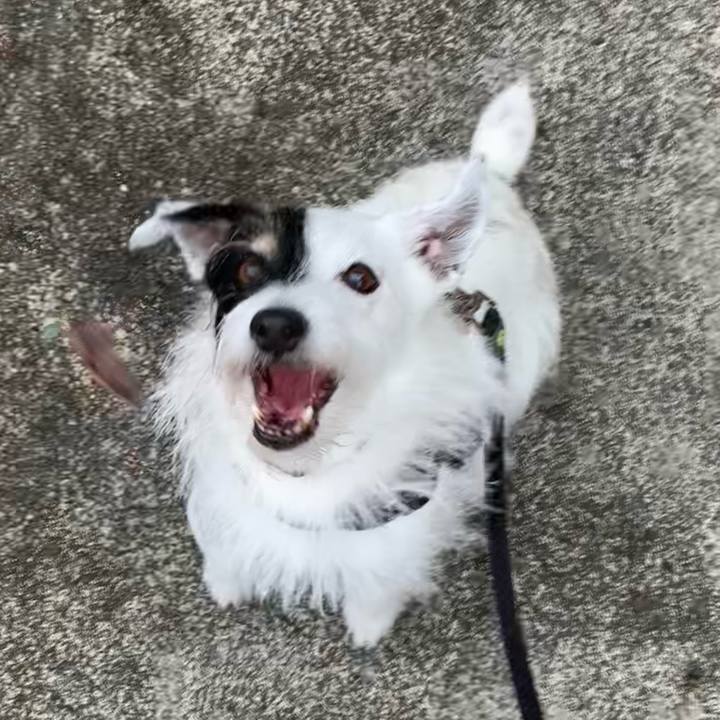 Be074444 fdec 4c2d afbe b73ffab59ac7 1754952908831