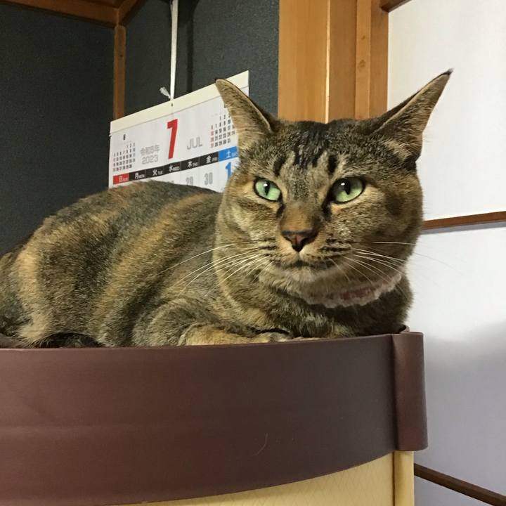 Be07643b d769 4e3a afae 9dc9595cb096 1690551059393