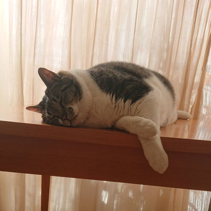 Be0767b4 6d51 47fa b457 5015be9c845d 1567723013678