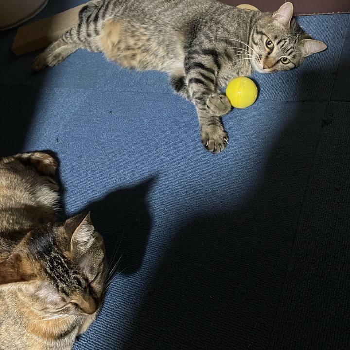 Be078e46 793c 47d6 bbce d98f17555960 1756811287426