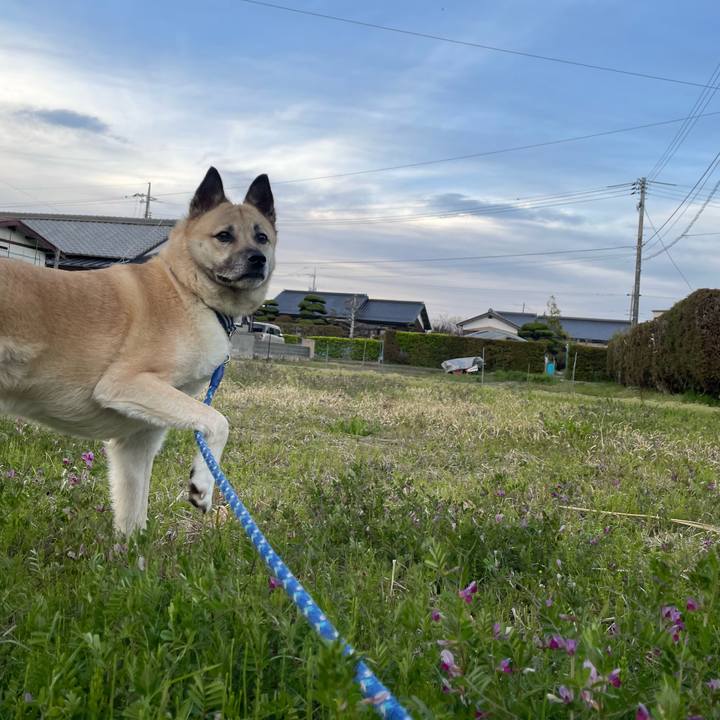 Be07a591 e4e6 411c be75 23e842bff2d5 1649161730772