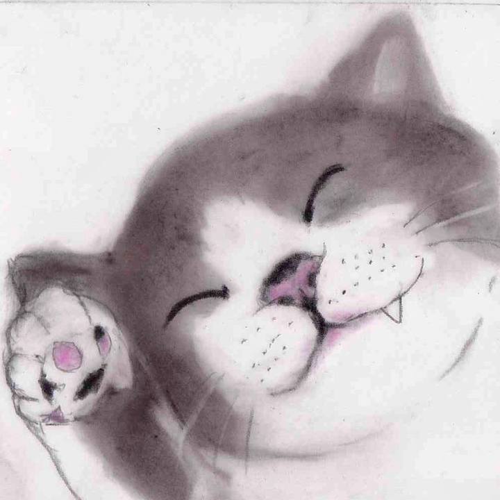 Be07a7f4 078c 4817 af1a 12c07202dfbe 1652358125757