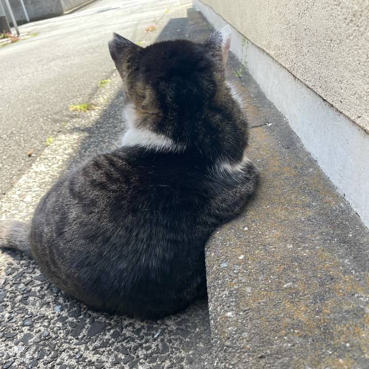 Be07b6d5 638b 4ec8 ad2a bdf7df1f0458 1618805001592