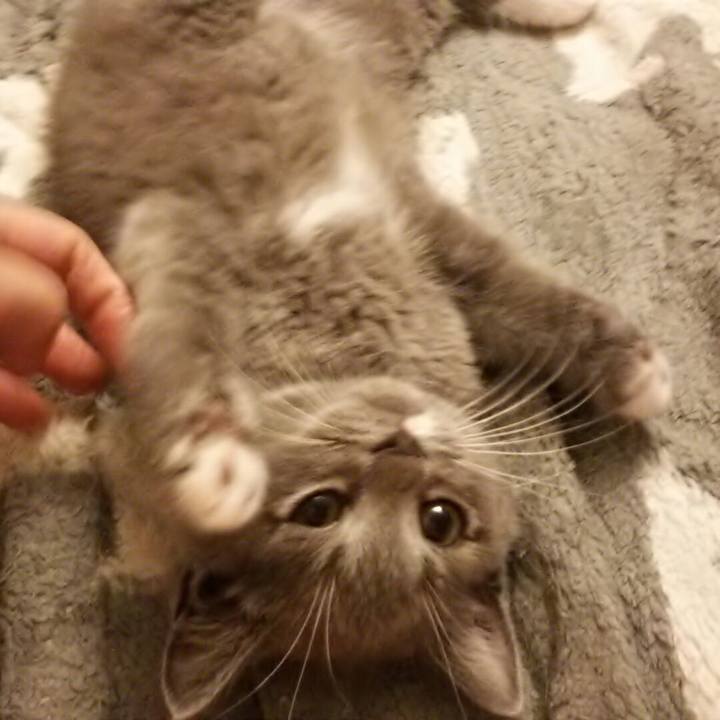 Be07d91f e20a 4e96 ae1a 1d559b3ac486 1530616476717