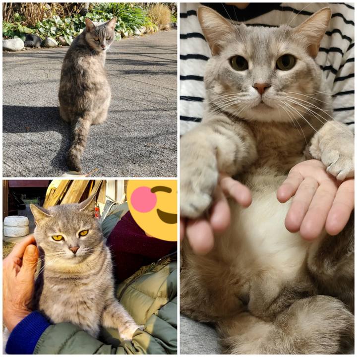 Be07e21d 02ae 424b b28f 48d8f5c73d70 1672722635967