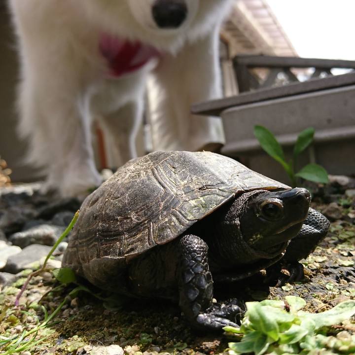 Be082c08 cd7b 4485 93f6 f9d2b8f4ce76 1523930266996