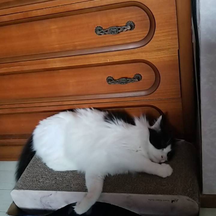 Be085814 16bf 4266 9ccb 7d8fe39d9660 1566163959859