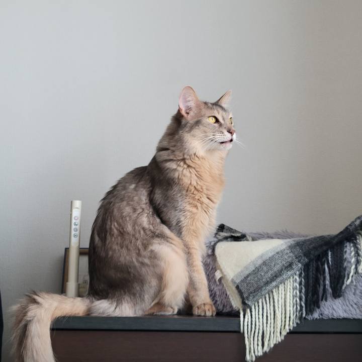 Be087b12 d9f7 4f66 8ad6 faf843d1cc54 1683085123465