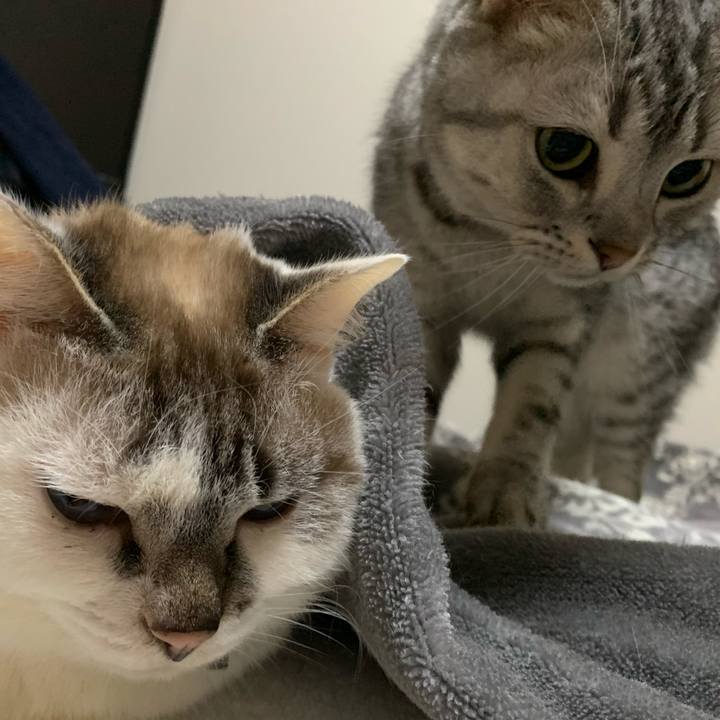 Be08859a 111d 4a35 a418 f7941e9d2f23 1580165881145