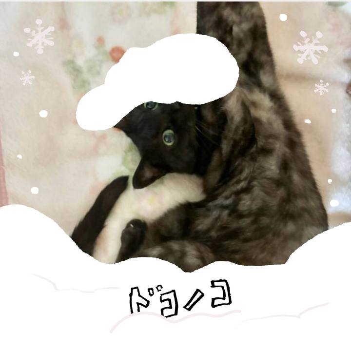 Be08a7ed 1eaa 452c a93f 812cff8406fb 1771884288803