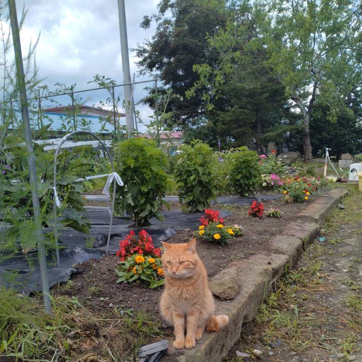 Be08aadb 78d1 44e4 bdb7 b8b6709ef6e2 1688600350832