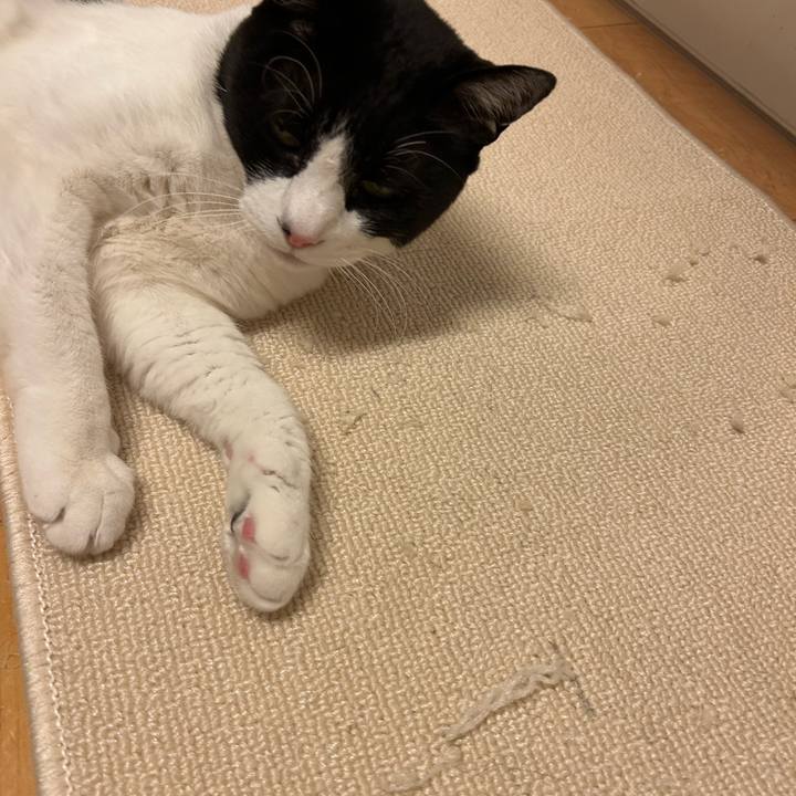 Be08be90 4d3b 4df1 9562 35ab45fdfb82 1769917420080