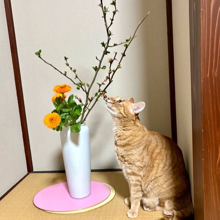 Be08c628 53fe 4c54 8e23 0578c9b79c74 1773808916071