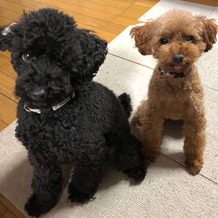 Be08db3a d499 4479 b8e1 f3a9948092bd 1545084894712