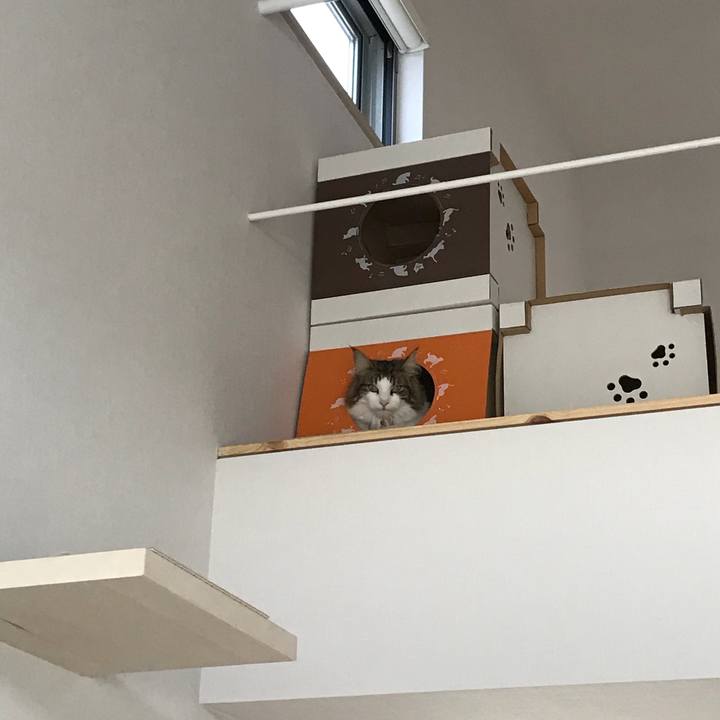 Be08f2e3 d1c0 496a a2a2 c36aed473e6e 1517106726618