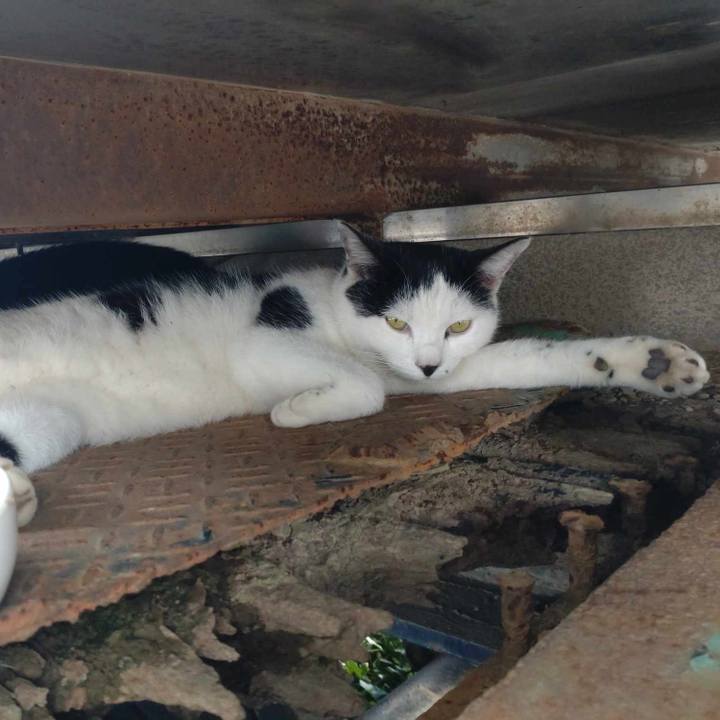 Be090b57 b913 45cf 838e 7a909c7bf1da 1728284518878