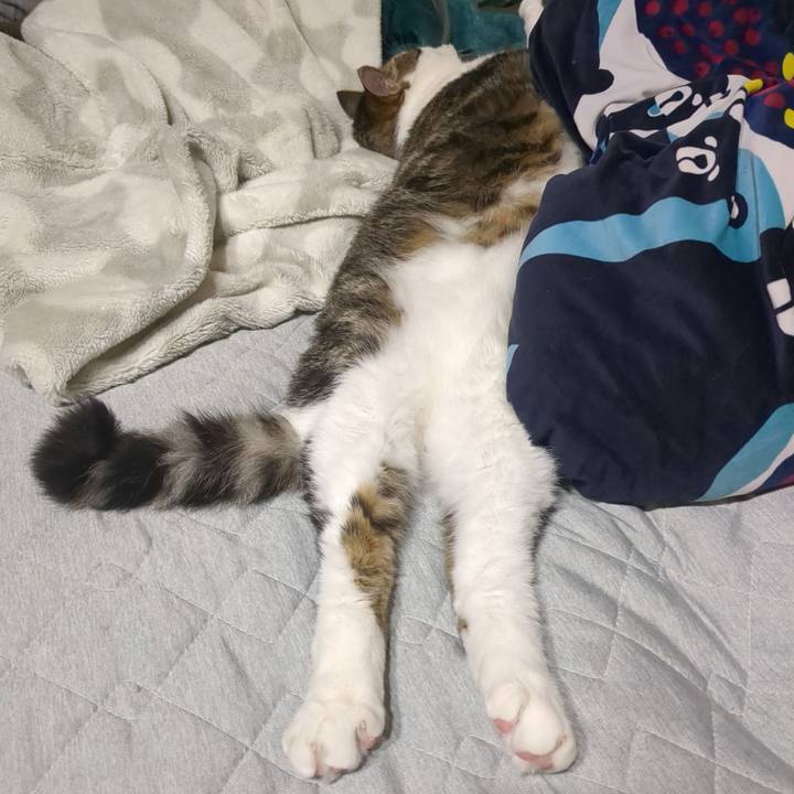 Be095492 abe9 45d3 8416 9a3ebad53ffc 1719133234964