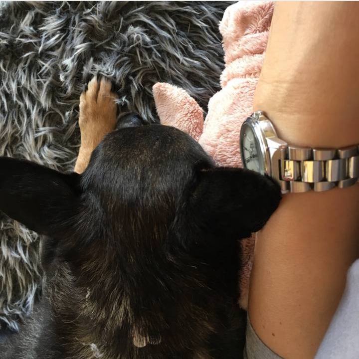 Be095c68 81c0 48ab 93cd 0a43bb95bf58 1761119928587