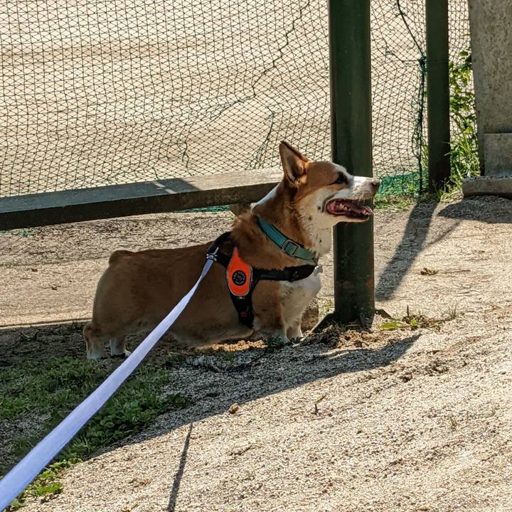 Be0960e7 7b7d 4aa9 b713 56b79efce51f 1683770890321