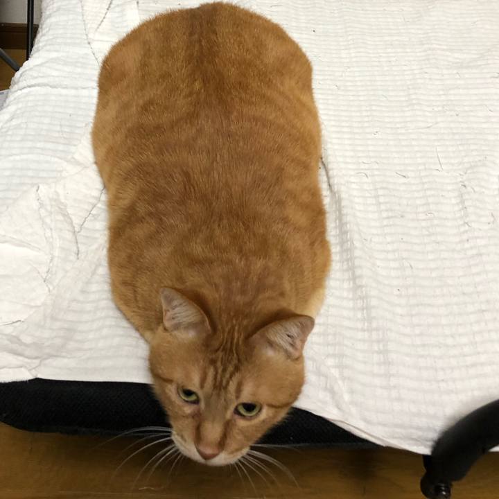 Be0971ba e444 44b0 a9ad 8d4339d091d2 1638798156407