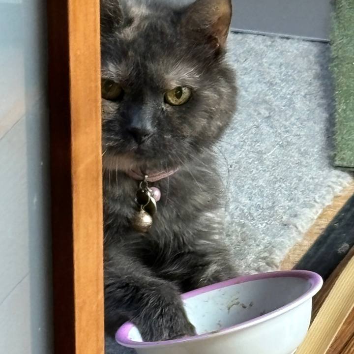 Be09790e f53d 4db7 a32f b936bf4fa8fb 1725169655098