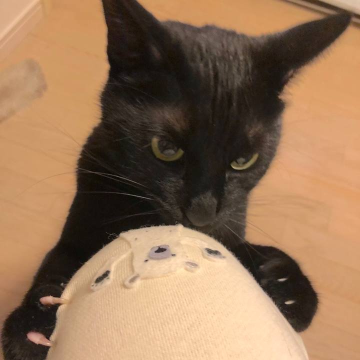 Be09d72e 5888 4106 bfe5 37df7789385e 1515932743699