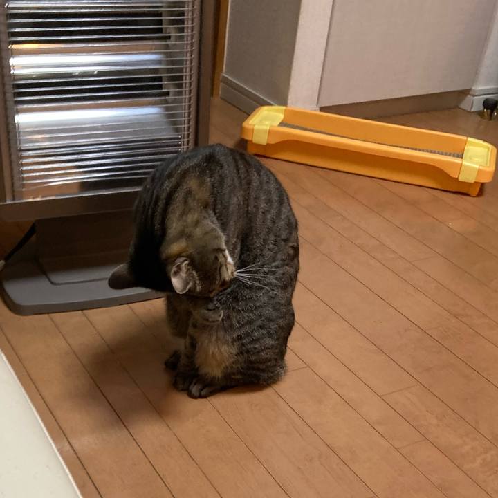 Be09dde7 8c23 4f83 855d 484ab40a829b 1646565341272