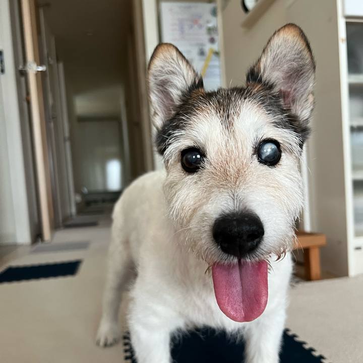 Be09e9e7 bb13 46a9 a12c c14014deea7a 1763455877011