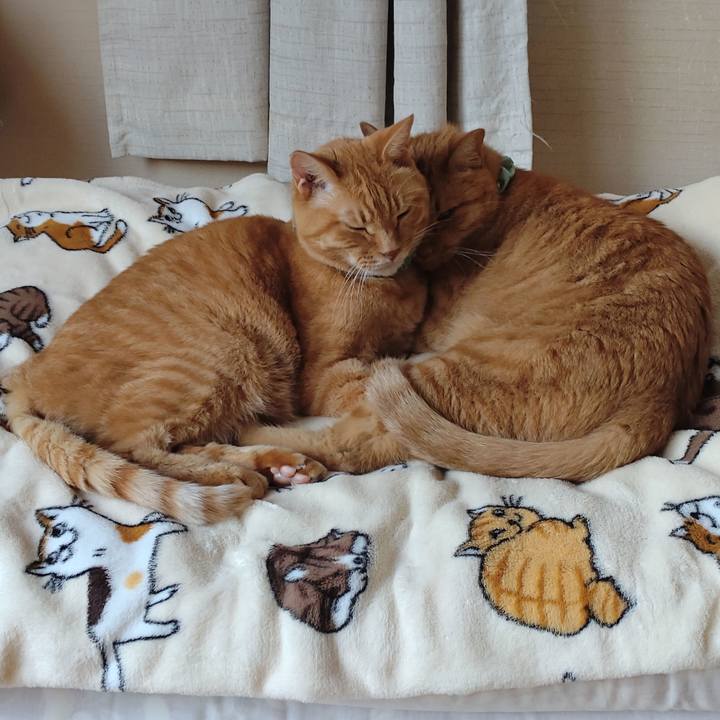 Be09f657 0439 4c54 b6b2 73363abc50e2 1757743534312