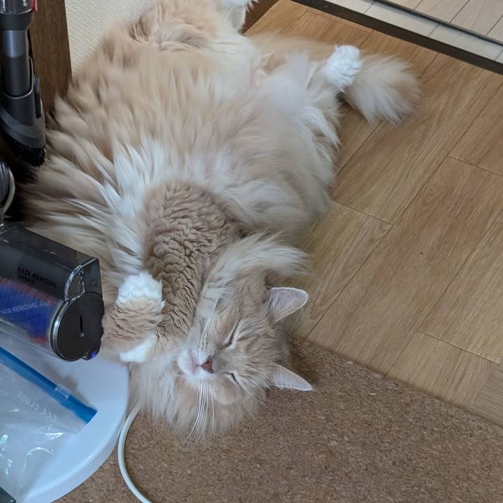 Be0a025e 8df8 4fa8 8b8d 3615babcaea3 1728102310513