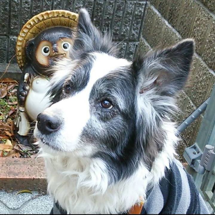 Be0a0e2f 0f38 4ced b156 2610bec18d25 1774232164637