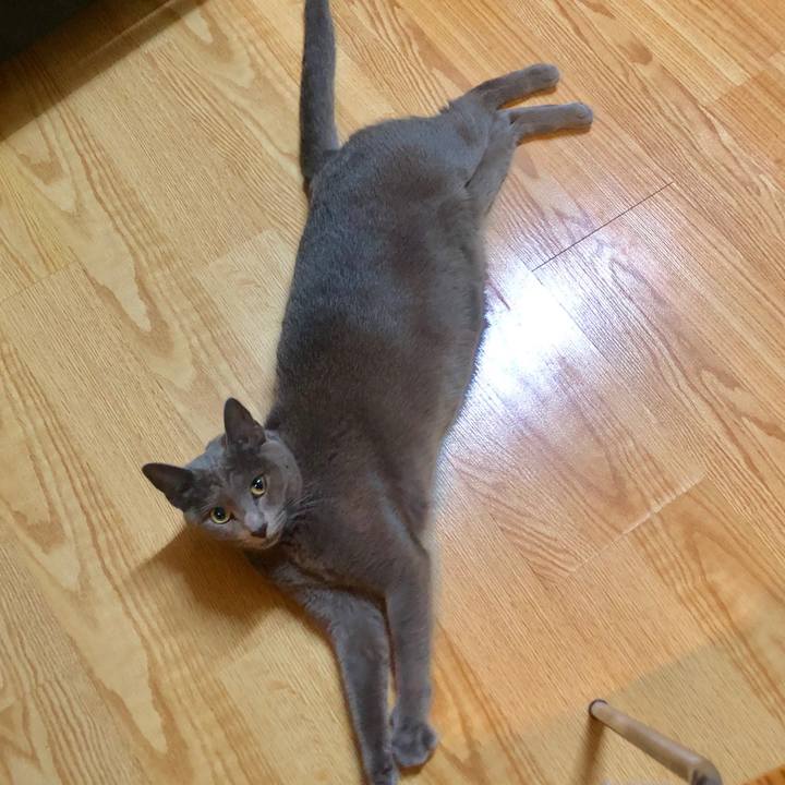 Be0a2bd8 fe95 4b5b bcd0 09736b632fa0 1571710074063