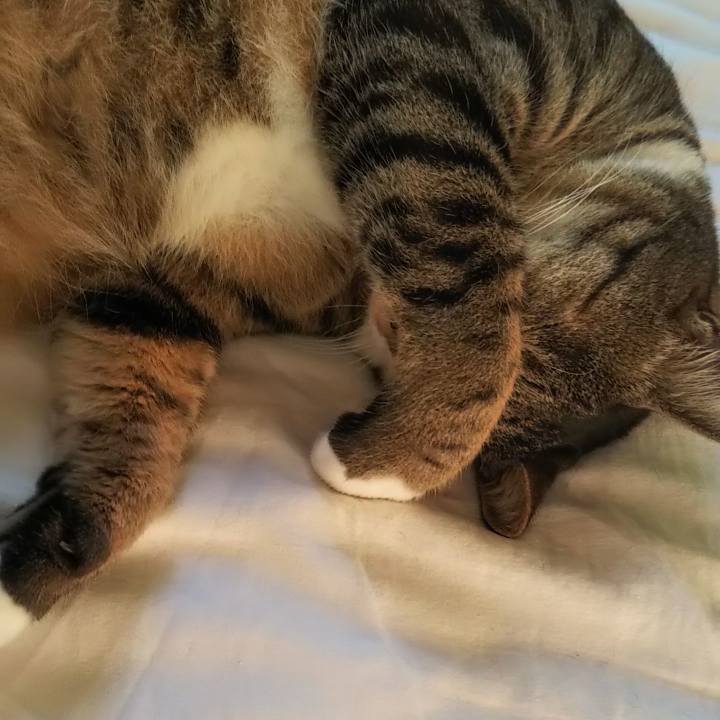 Be0a9dbb 1498 4303 8105 a456e79dbf00 1629323502816