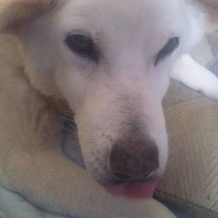 Be0aedd4 ba11 41c5 bca5 a257e86017fb 1513094221807