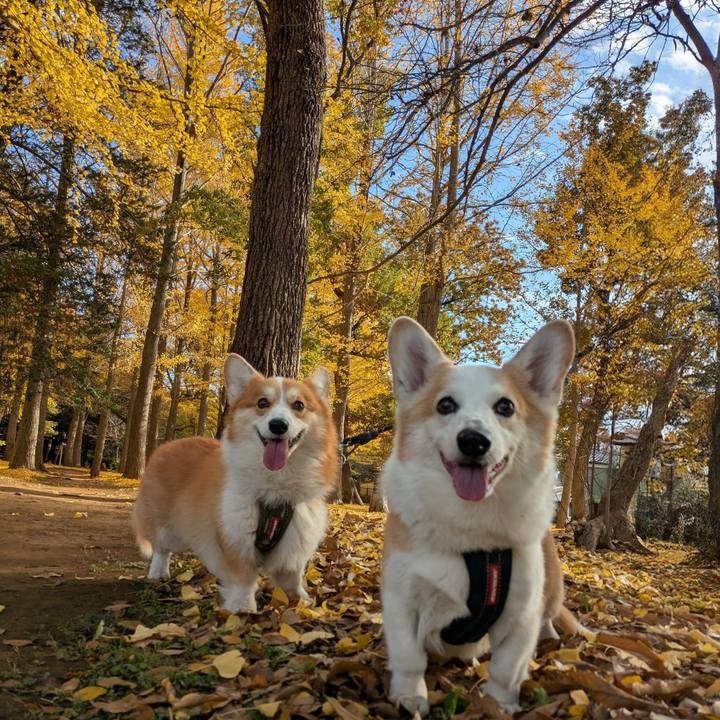 Be0af6c9 049c 4d02 96ec 06a148719434 1764205565453