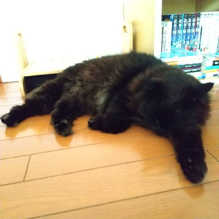 Be0af919 0b2e 46c3 be24 66bd0a6f1e0e 1612738182211