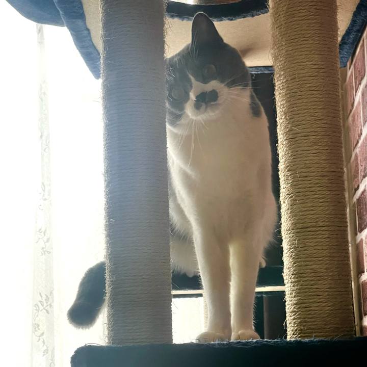 Be0b2d7b 2051 4595 ad5b bdda43153f86 1628642071428