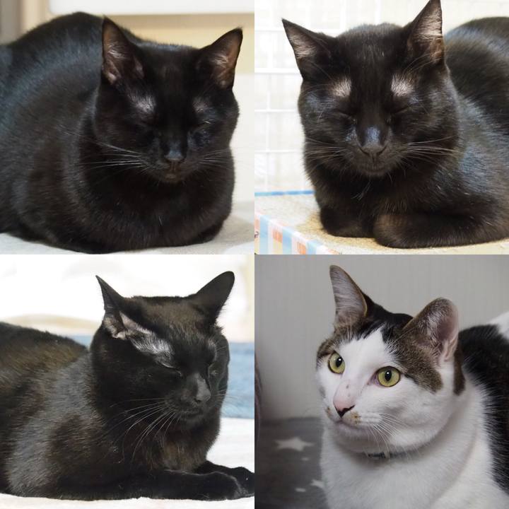 Be0b6147 9623 4171 ab63 fc995eee9323 1547216113554