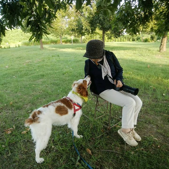 Be0b6d01 352d 4629 abc0 50dc35421897 1565438204252