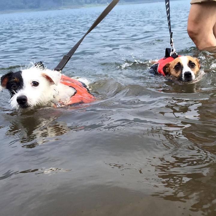 Be0b89a5 95eb 4a26 ad60 ea13e36fd275 1564617082842