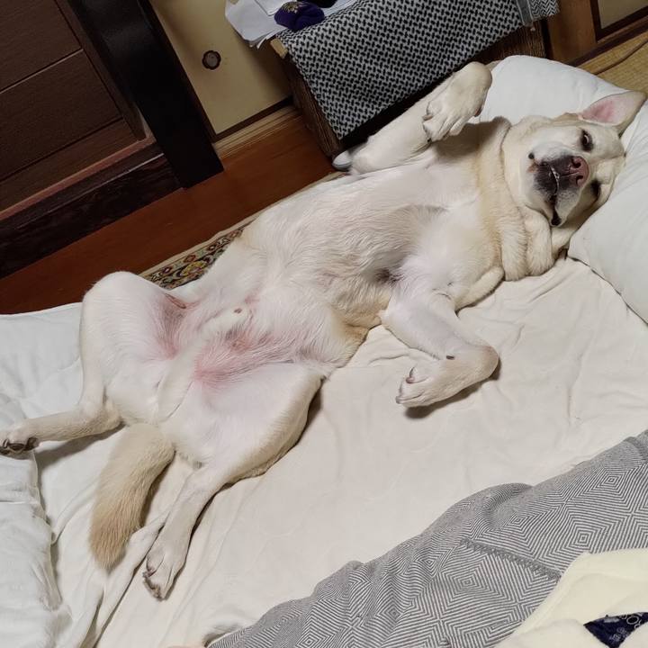 Be0bb1b1 3493 4993 8c59 04786d8759a4 1711885585680