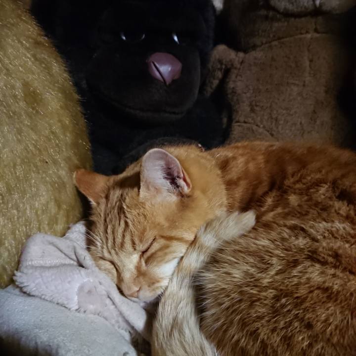 Be0bb49f 6ea0 4bbb 9b6a 1f6d2ae6258c 1607425508273