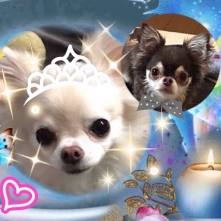 Be0bb6ec a1c3 437a a9f8 e2fe1e124356 1508383713776