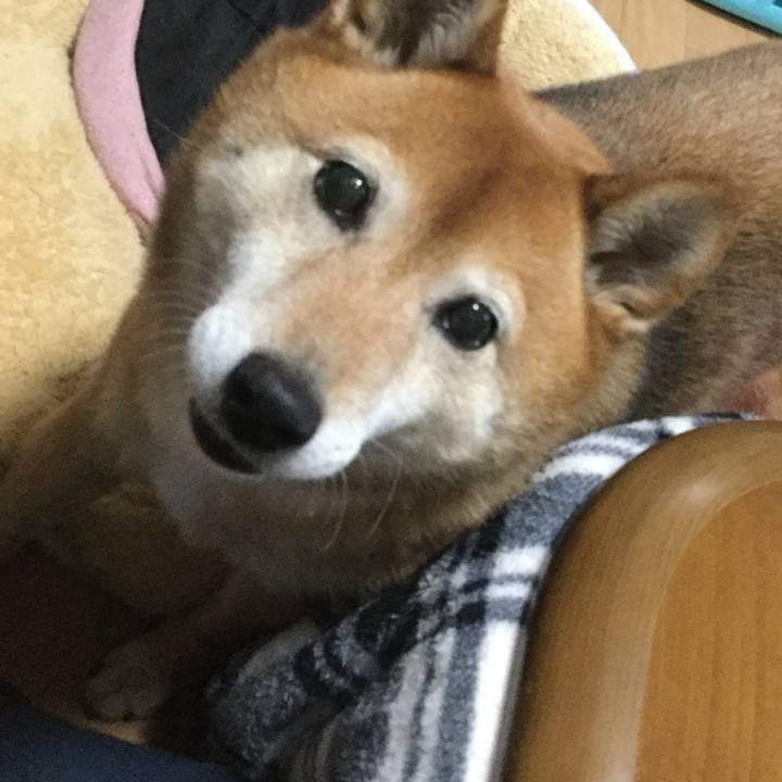 Be0bb77a aa65 49f8 867b 3111307d70f8 1584606250159