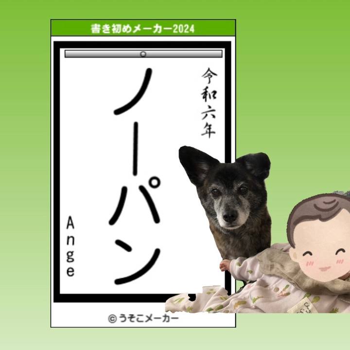 Be0be3c6 9449 4569 a8b7 7a658e965f9a 1704366345577