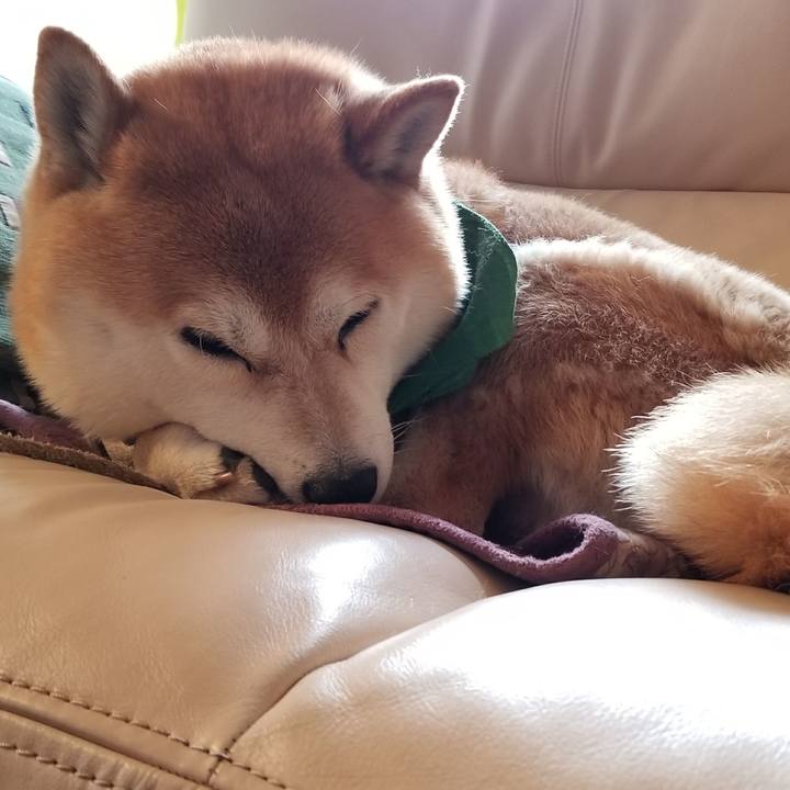 Be0c3ab3 6b26 4567 851c f9cf80078b01 1523660771490