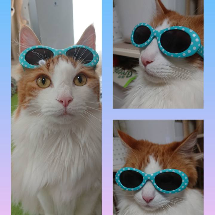 Be0c6127 5d52 4b52 95e3 aeb4df28a5ff 1559824966179