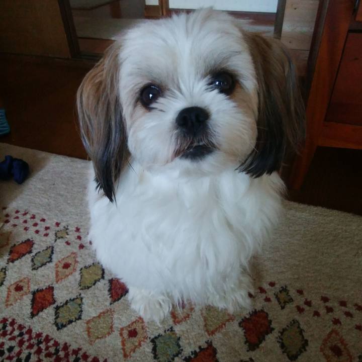 Be0ca02f 772e 4756 82d7 97bd1f3a6ff1 1528779142283