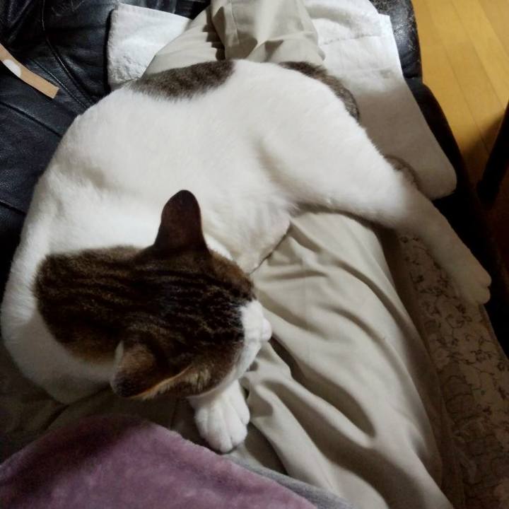 Be0cf2c9 d94f 405c 9f86 2842d839314e 1668211876159